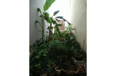 Bán đất lô góc 2 mặt thoáng , hàng hiếm chỉ 43tr/1m2 ở Cổ Nhuế